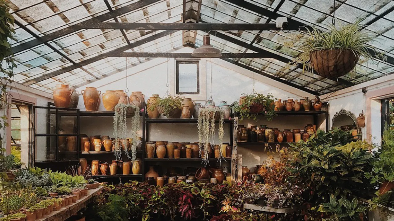 Serre de jardin et cultures en intérieur