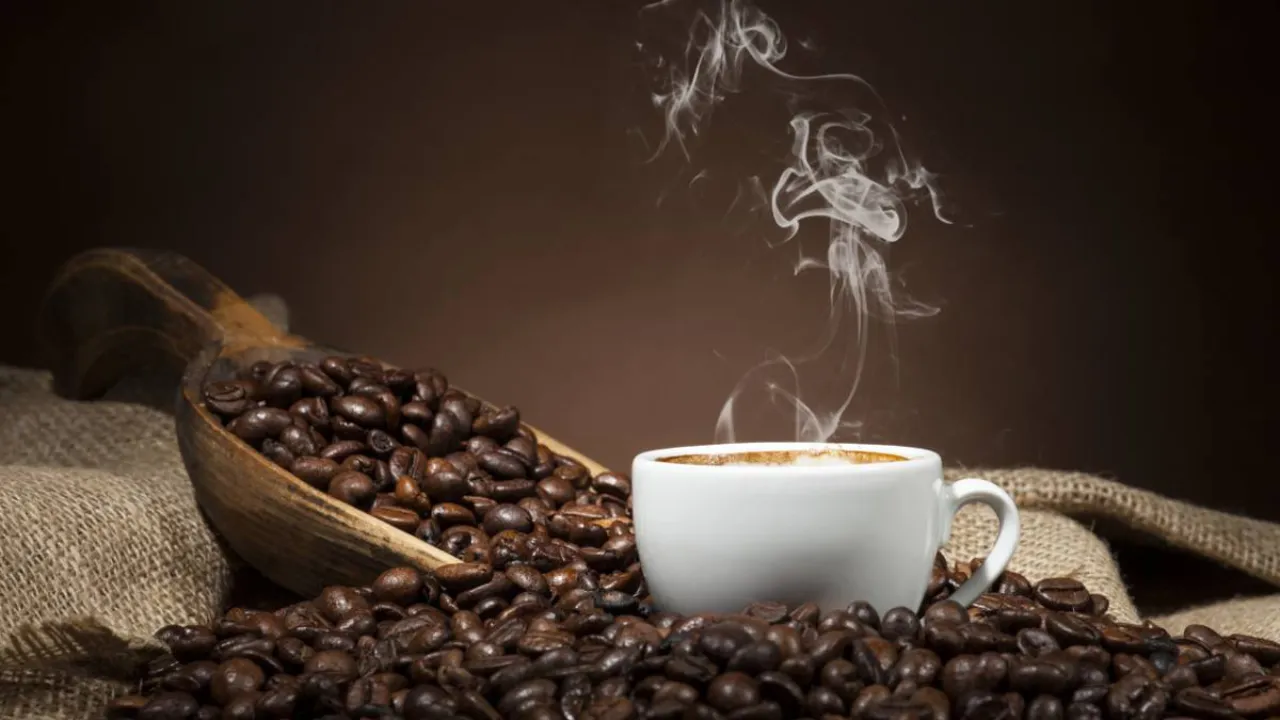 Tasse de café en grains